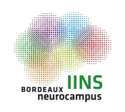 Interdisciplinary Institute for Neuroscience (IINS)