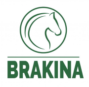 BRAKINA - Groupe Castel