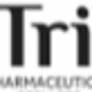 Adjoint responsable de production