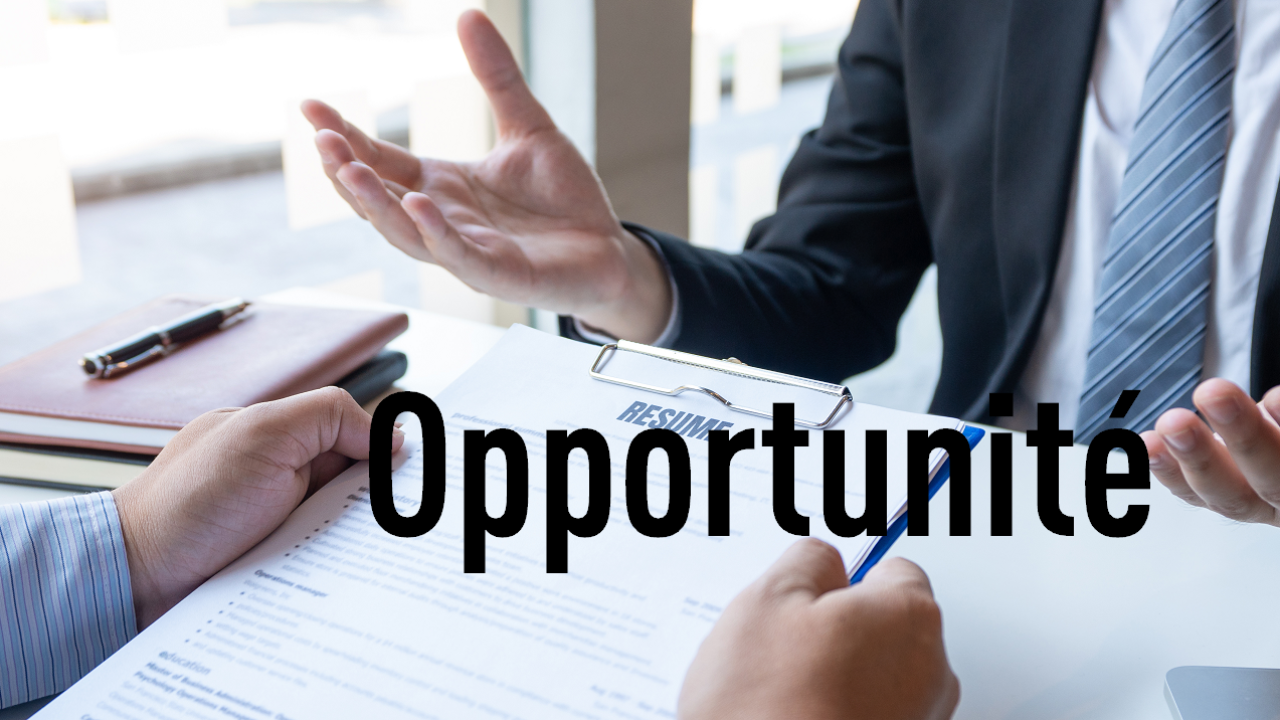 Opportunité : Ingénieur de recherche F/H - Audit algorithmique et analyse de données