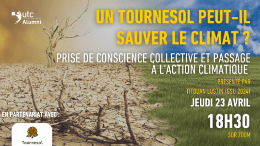 Un tournesol peut-il sauver le climat ? 